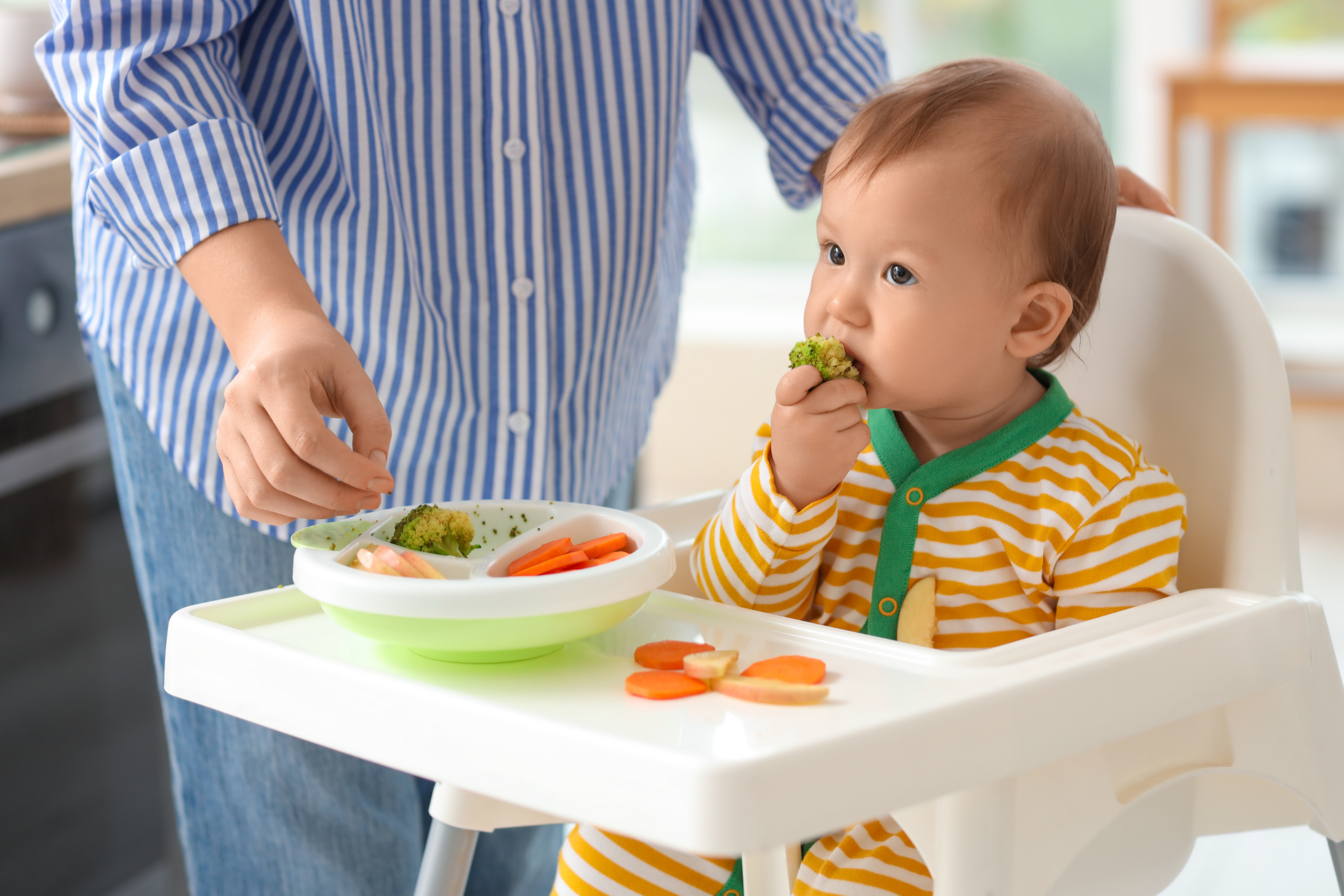 alimentacion complementaria